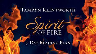 Spirit Of Fire By Tamryn Klintworth Johannes 14:16-17 Die Bibel (Schlachter 2000)