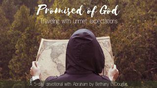 Promised Of God: Traveling With Unmet Expectations Isaías 43:18-19 Nueva Versión Internacional - Español