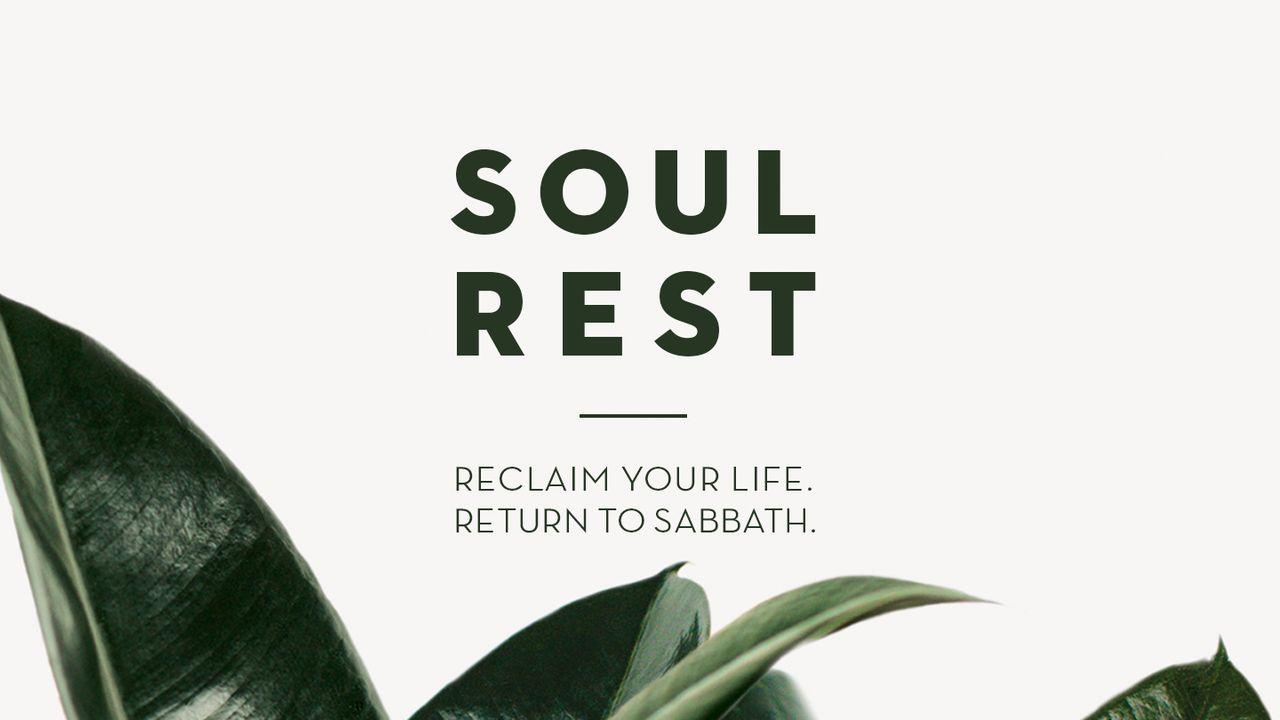 Soul Rest: 7 Days To Renewal