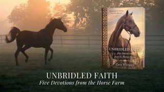 Unbridled Faith Colossians 4:2 New King James Version