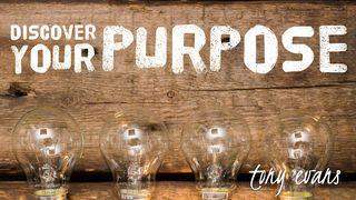 Discover Your Purpose Psalm 138:8 English Standard Version 2016