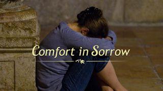 Comfort In Sorrow Jesaja 40:1 Bibelen 2011 bokmål