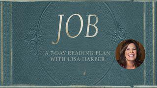 Job - A Story of Unlikely Joy Hiob 2:1-13 Die Bibel (Schlachter 2000)