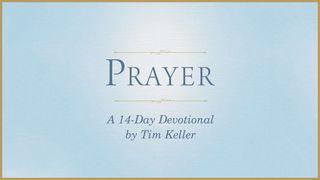 Prayer: A 14-Day Devotional by Tim Keller Hiob 38:1-41 Die Bibel (Schlachter 2000)