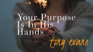 Your Purpose Is In His Hands 1 Corinthians 2:9-13 New American Standard Bible - NASB 1995