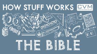 How Stuff Works: The Bible Մարկոս 1:3 Նոր վերանայված Արարատ Աստվածաշունչ