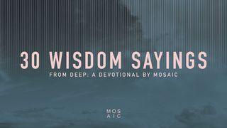 30 Wisdom Sayings Proverbs 23:17-18 English Standard Version 2016