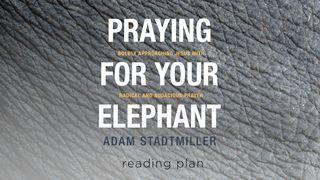 Ora por tu elefante — Cómo hacer oraciones valientes S. Mateo 7:7 Biblia Reina Valera 1960