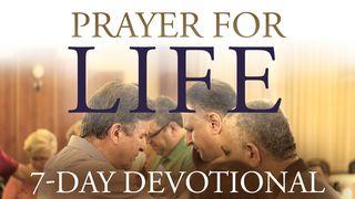 Prayer For Life Romans 11:6 New International Version