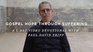 Gospel Hope Through Suffering: A 5-Day Video Devotional with Paul David Tripp Joshua 1:5 New International Version