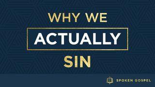 Why We Actually Sin - James 1:14-15 James 1:13-15 The Message