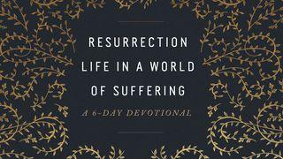 Resurrection Life In a World of Suffering: A 6-Day Devotional 1 Peter 1:10-21 English Standard Version 2016