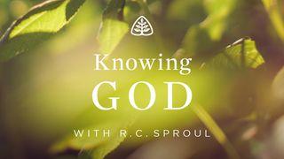 Knowing God Psalms 145:17-21 New International Version