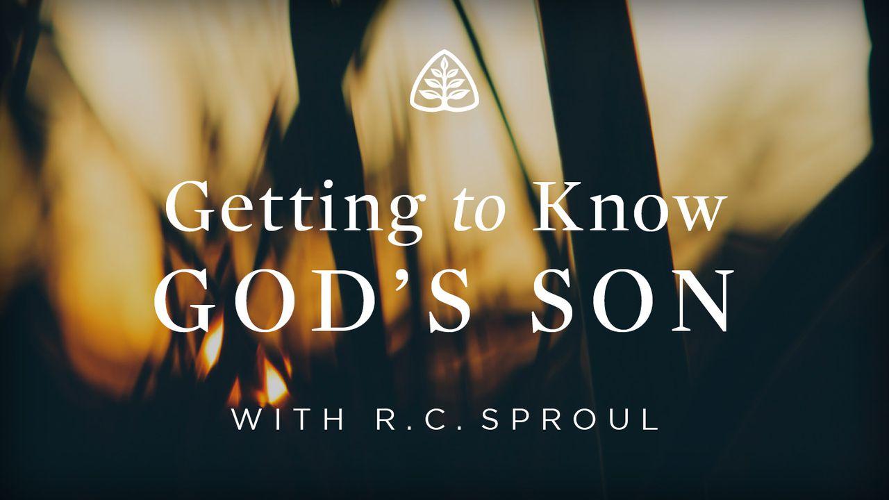 Getting to Know God's Son