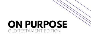The Old Testament On Purpose Job 42:2-3 New International Version