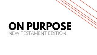 The New Testament On Purpose Acts 5:38-42 Christian Standard Bible