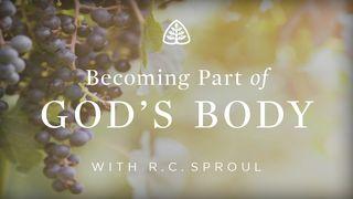 Becoming Part of God's Body Lu-ca 12:49 Thánh Kinh: Bản Phổ thông