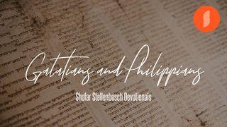 Shofar Stellenbosch | Galatians And Philippians Acts 11:16 New King James Version