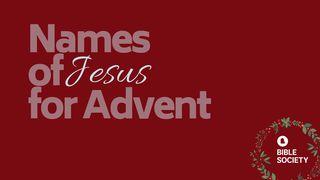 Names Of Jesus For Advent Mark 8:27-29 English Standard Version 2016