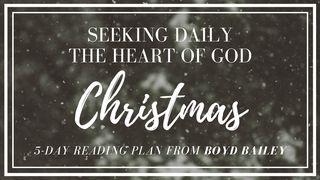 Seeking Daily The Heart Of God ~ Christmas John 3:4 New International Version
