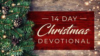 14 Days Christmas Devotional Matouš 3:1-6 Český studijní překlad