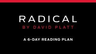 Radical by David Platt  The Books of the Bible NT