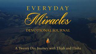 Everyday Miracles: 20 Day Journey With Elijah And Elisha II Kings 4:17 New King James Version
