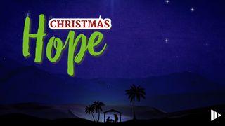 Christmas Hope: Devotions From Time Of Grace Luke 2:1-14 New American Standard Bible - NASB 1995