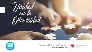 Unidad en la Diversidad. Efesios 4:1-3 Nueva Versión Internacional - Español