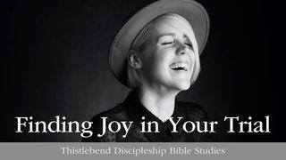 Finding Joy in Trial: 5 Helpful Steps  The Books of the Bible NT