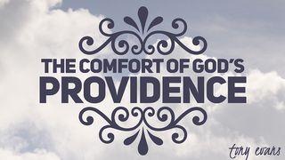 The Comfort Of God's Providence Isaiah 43:3-4 New Living Translation