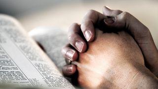 Шаги к плодотворной молитве மத்தேயு 7:9 பரிசுத்த வேதாகமம் O.V. (BSI)