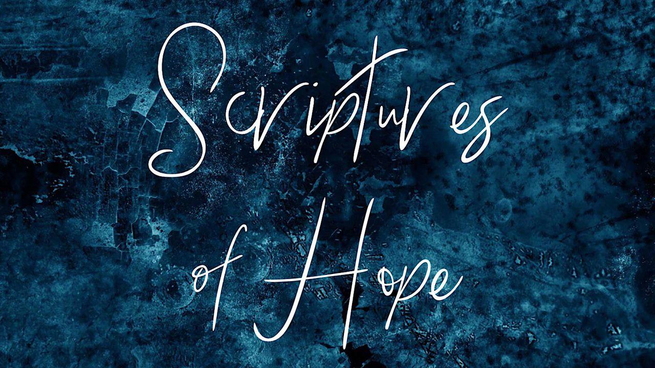 Scriptures Of Hope