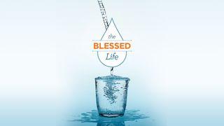The Blessed Life 出埃及記 13:13 新標點和合本, 神版