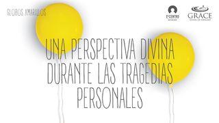 Una perspectiva divina durante las tragedias personales  Hebreos 10:24-25 Nueva Versión Internacional - Español