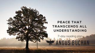 Peace That Transcends All Understanding Mark 8:37 New American Bible, revised edition