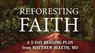 Reforesting Faith Luke 23:32-35 English Standard Version 2016