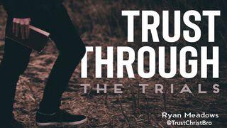 Trust Through The Trials Genesis 22:12 New International Version (Anglicised)