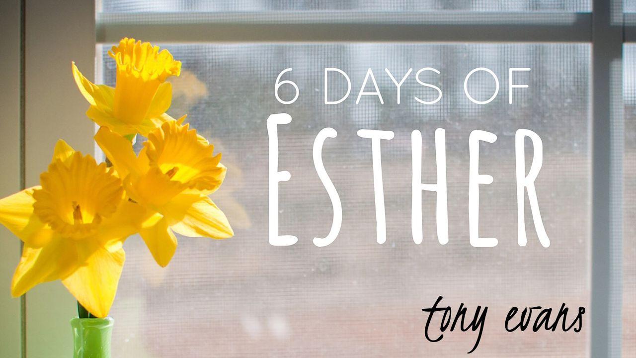 6 Days Of Esther