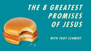 The 8 Great Promises of Jesus Matthew 11:25 New Living Translation