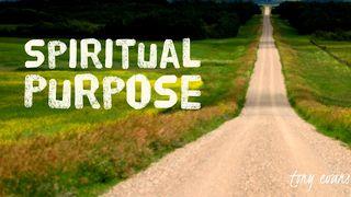 Spiritual Purpose Jeremiah 29:11-13 New International Version