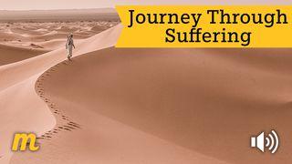 Journey Through Suffering Matthew 26:39 New American Standard Bible - NASB