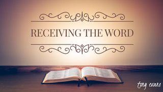 Receiving The Word Matthew 4:4 Holman Christian Standard Bible