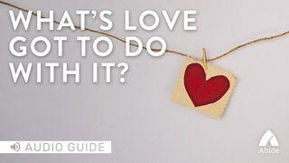What's Love Got To Do With It? Romans 12:9-16 New Living Translation