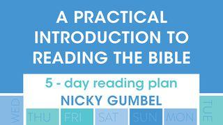 5 Days – An Introduction To Reading The Bible Salmi 91:9 Nuova Riveduta 2006
