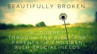 Beautifully Broken- A Study For Special Needs Parents Proverbs 2:1-22 New International Version