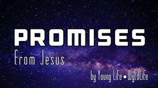 Promises From Jesus Numbers 23:19 New Living Translation
