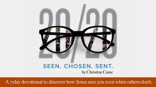 20/20: Seen. Chosen. Sent. By Christine Caine  Isaiah 11:3 World English Bible British Edition