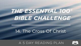 The Essential 100® Bible Challenge–14–The Cross Of Christ Jono 19:25 A. Rubšio ir Č. Kavaliausko vertimas su Antrojo Kanono knygomis