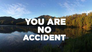 You Are No Accident Matthew 13:17 World English Bible, American English Edition, without Strong's Numbers